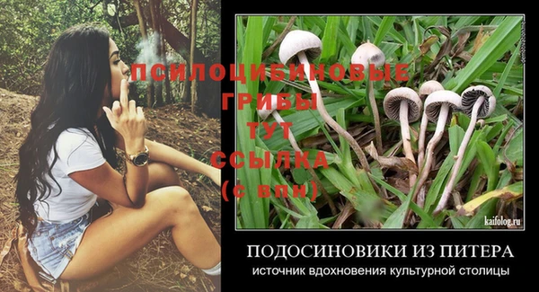 твердый Балабаново