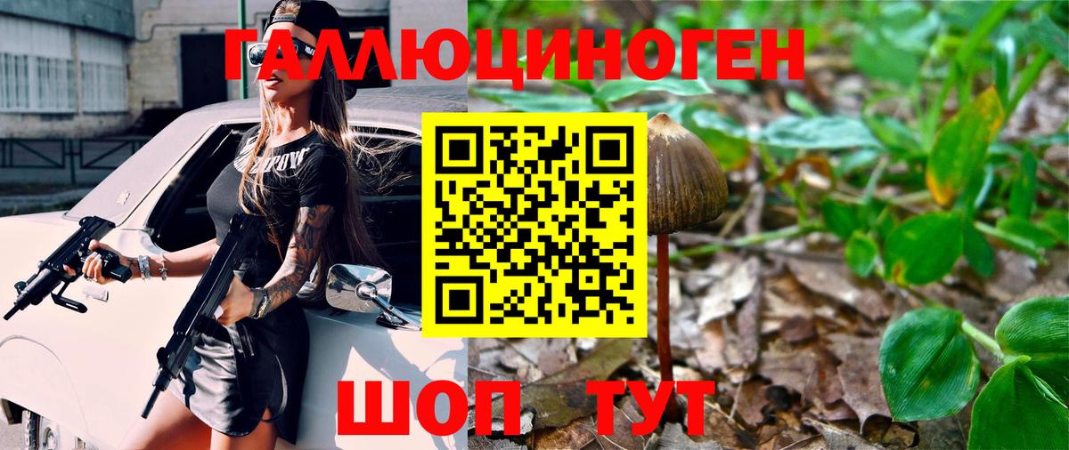 Галлюциногенные грибы мухоморы Корсаков
