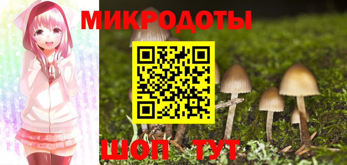 Корсаков  Псилоцибиновые грибы MAGIC MUSHROOMS  Вход с VPN  Псилоцибиновые грибы Cubensis 